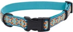 Coastal CoastNeoprenCollar5/8Inx8-12in
