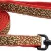 Coastal Neoprene Leash1in X6ft