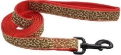 Coastal Neoprene Leash1in X6ft