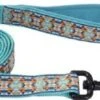 CoastalNeopreneLeash1inx6ftBlu