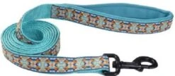 CoastalNeopreneLeash1inx6ftBlu