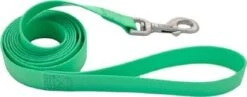 CoastalWtrprfLeash3/4inx6ftLim