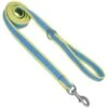 CoastalNylonLeash3/4inx6ftAqua