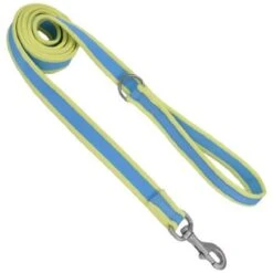 CoastalNylonLeash3/4inx6ftAqua