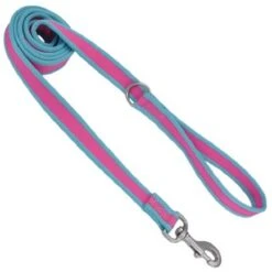 Coastal CoastNylonLeash3/4inx6ftFuscia