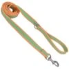 CoastalNylonLeash3/4inx6ftLime