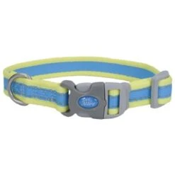 CoastalRflcCllrAquYlw1x18-26in