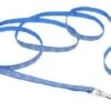CoastalReflctLeash3/8inBluWave
