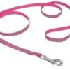 Coastal CoastlReflctLeash3/8inPnkZebra