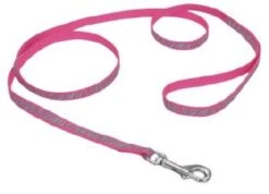 Coastal CoastlReflctLeash3/8inPnkZebra