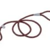 Coastal RopeSlipLeash6ft Berry