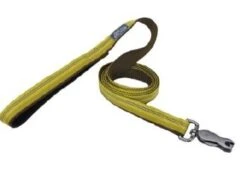 CoastalReflctLeash5/8x6Gldnrd