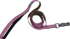 CoastalReflctLeash5/8inRosebud