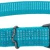 Coastal Adj Collar Ocean 5/8in