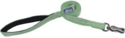Coastal Leash 5/8inx6ft Meadow