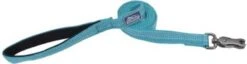 Coastal Leash 5/8inx6ft Ocean
