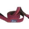 CoastalReflct Leash 1x6ftBerry