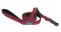 CoastalReflct Leash 1x6ftBerry