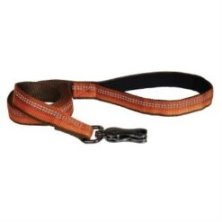 CoastalRfltLeash1x6ft CmpFrOrn