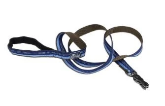 CoastalReflctLeash6ftSapphire