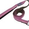 Coastal ReflctLeash 6ftRosebud