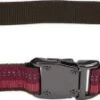 CoastalReflc AdjCollar BerryMd