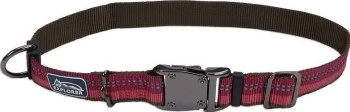 CoastalReflc AdjCollar BerryMd