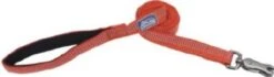 Coastal CoastReflectLeash1inx6ftCanyon