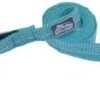 CoastalRflctLeash1inx6ft Ocean