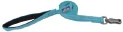 CoastalRflctLeash1inx6ft Ocean