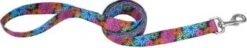 CoastalWldflwrLeash5/8inx6ffBk