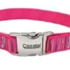 Coastal CoastAdjRibbonCollarPnkStr8-12