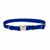 Coastal AdjCollar 14-20in Blue