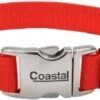 Coastal CoastlAdjTitanCllr1x18-24inRed