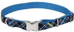 CoastalRibbonCollar1inNavBluPd