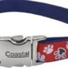 Coastal RibbonCollar 1x18-26in