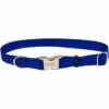 CoastalTitanCollar14-20in Blue