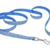 Coastal CoastRefltLeash5/8inx6ftBluWvs