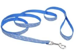 Coastal CoastRefltLeash5/8inx6ftBluWvs