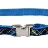 CoastalRibbonCollarNavBluPlaid