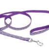 CoastalReflectLeash6ftPurDaisy
