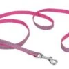 CoastalReflectLeash6ftPnkZebra