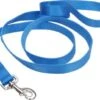 CoastalNylonLeash1inx6ftBlue
