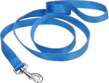 CoastalNylonLeash1inx6ftBlue