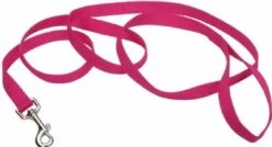 Coastal NylonLeash 1inx6ftPink