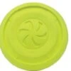 Coastal Pro Foam Disc