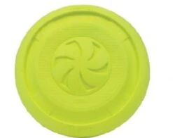 Coastal Pro Foam Disc