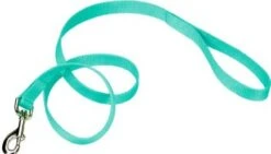 Coastal Lead 1in X6ft Teal