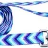Coastal Attire Leash 1inx6ft