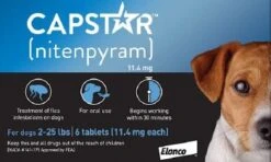 Novartis Capstar FleaDog6ct Sm